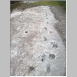 102_6723 (2013-08-11)mod.JPG